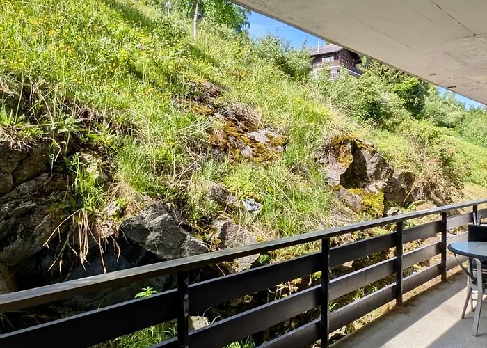 Exceptionnel Sur Les Pistes